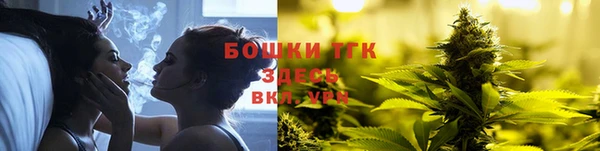 ПСИЛОЦИБИНОВЫЕ ГРИБЫ Бородино