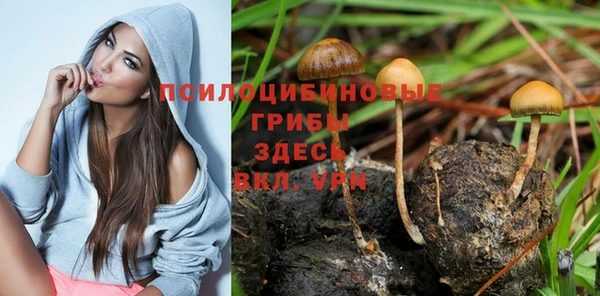 кокаин перу Богородицк