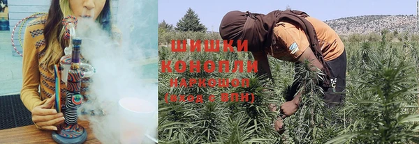 ПСИЛОЦИБИНОВЫЕ ГРИБЫ Бородино