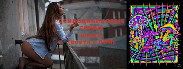 ПСИЛОЦИБИНОВЫЕ ГРИБЫ Болхов